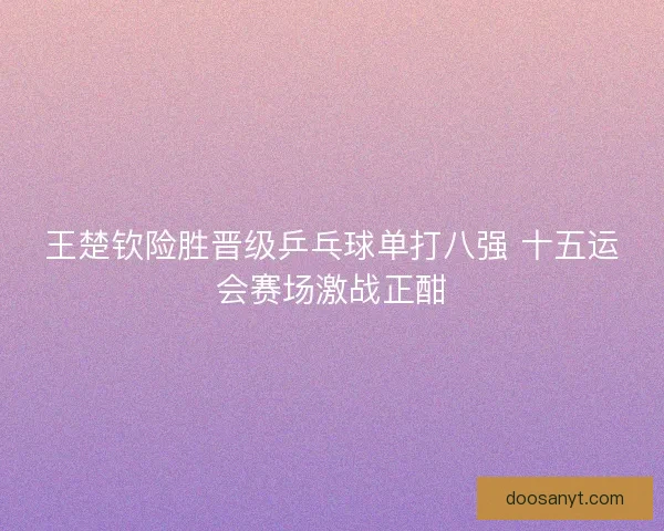 王楚钦险胜晋级乒乓球单打八强 十五运会赛场激战正酣
